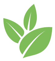 Buzz Shrub Root Removal