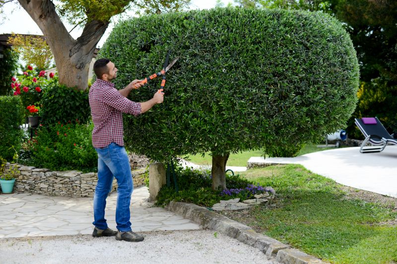 Pruning Bushes for Shape