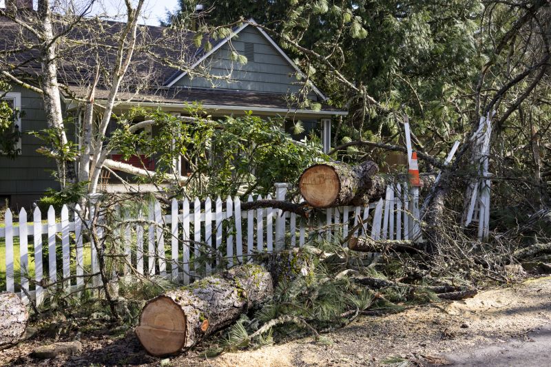 Tree Limbs Removal in Doylestown, PA