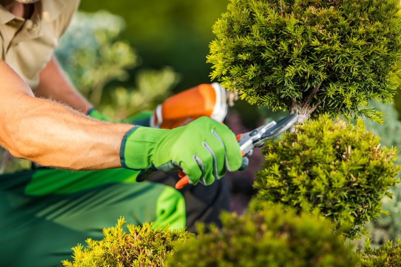 Landscaping Service Providers