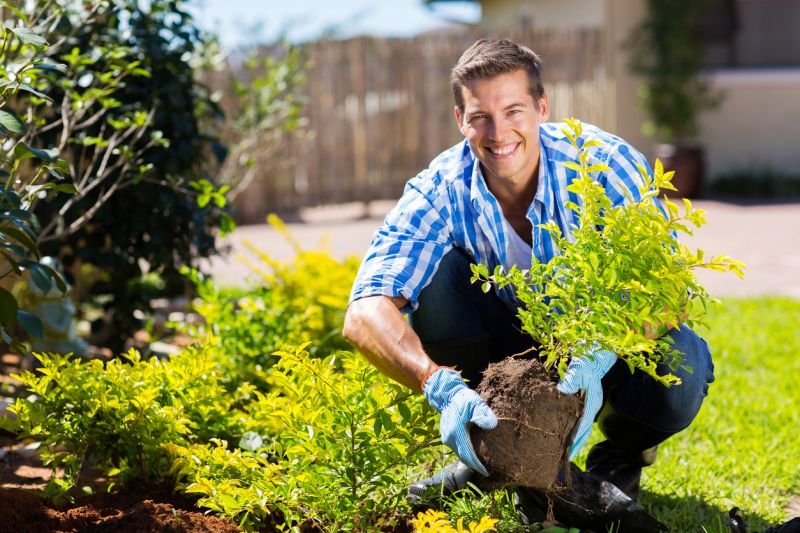 Contact About Shrub Root Removal