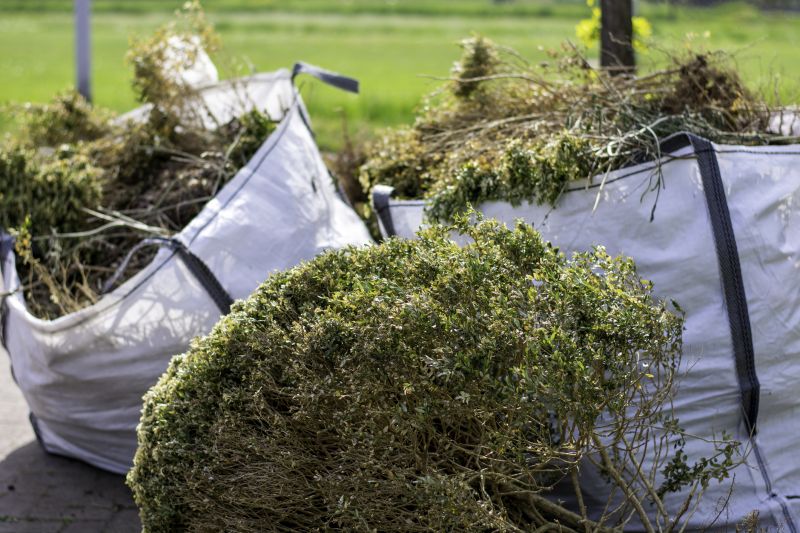 Shrub Root Removal Services